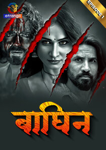 Baghin poster