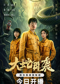 The Serpent Attack poster