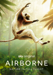 Airborne poster