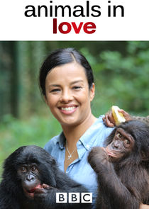 Animals in Love poster
