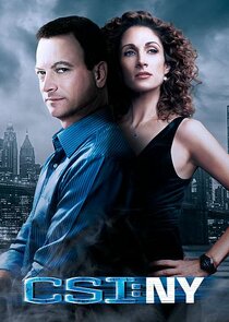 CSI: NY poster