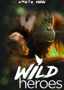 Wild Heroes poster