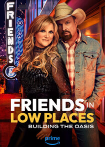 Friends in Low Places poster