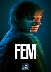 FEM poster
