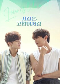Love is Like a Cat poster