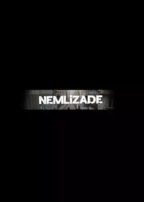 Nemlizade poster