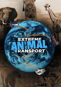 Extreme Animal Transport poster