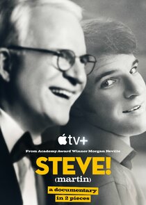 STEVE! (martin) a documentary in 2 pieces poster