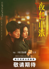 The Glamorous Night poster