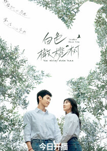 The White Olive Tree poster