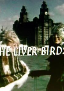 The Liver Birds poster