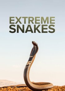 Extreme Snakes poster