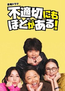 Futekisetsu ni mo Hodo ga Aru! poster