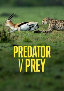 Predator vs Prey poster