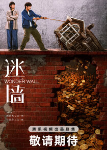 Wonder Wall poster