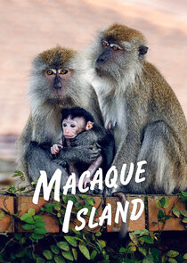 Macaque Island poster