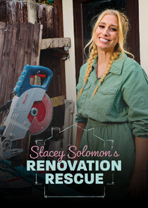 Renovation Rescue poster