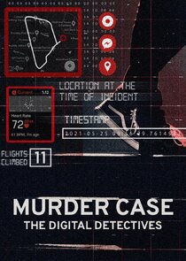 Murder Case: The Digital Detectives poster