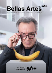 Bellas Artes poster