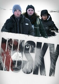 Husky poster