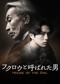 House of the Owl poster