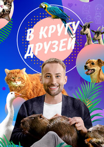 В кругу друзей poster