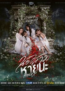 Hide & Sis poster