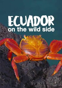 Ecuador: On the Wild Side poster