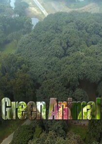Green Animal poster