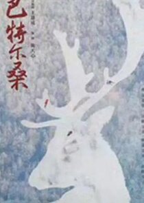 Ba Te Er Sang poster