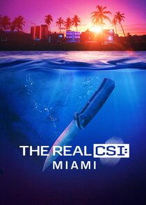 The Real CSI: Miami poster