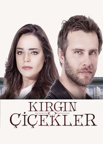 Kırgın Çiçekler poster