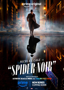 Spider-Noir poster