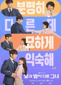 Miss Night and Day poster