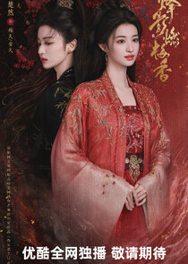 Hidden Shadow poster