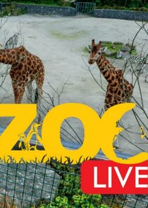 Zoo Live poster