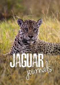 Jaguar Journals poster