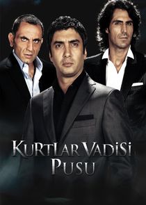 Kurtlar Vadisi Pusu poster