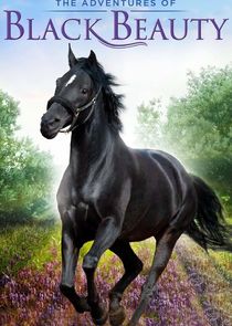 The Adventures of Black Beauty poster