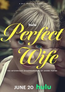 Perfect Wife: The Mysterious Disappearance of Sherri Papini poster