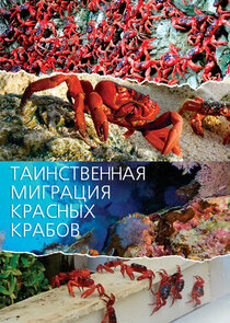 Mystery Migration: Red Crabs of Christmas Island poster