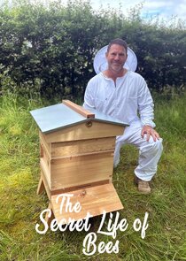 The Secret Life of Bees poster