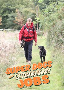 Super Dogs with Extraordinary Jobs poster