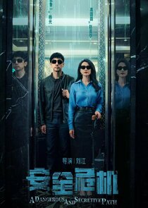 The Secret Path poster