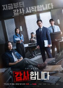 The Auditors poster