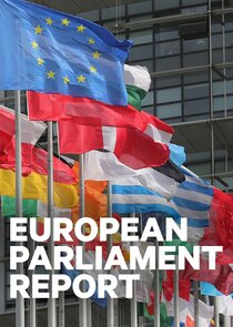 European Parliament Report poster