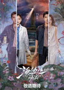 Secrets by the Sea poster