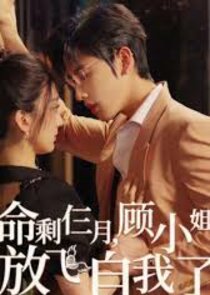 命剩仨月顾小姐放飞自我了 poster