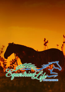 Equestrian Life in the Palm Beaches poster