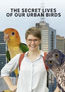 The Secret Lives of Our Urban Birds poster